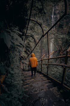 一个穿着黄色连帽衫的人，正沿着被郁郁葱葱的绿色植物包围的森林楼梯向下走去的背影