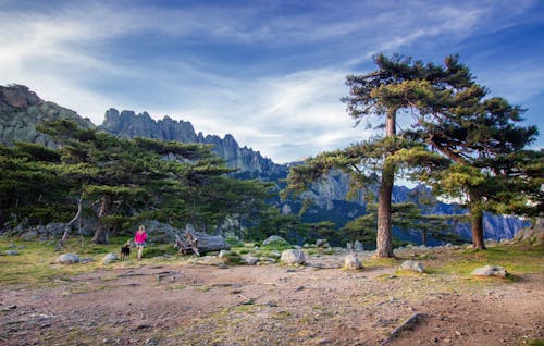 Безкоштовне стокове фото на тему «висока гора, дерева, жінка»