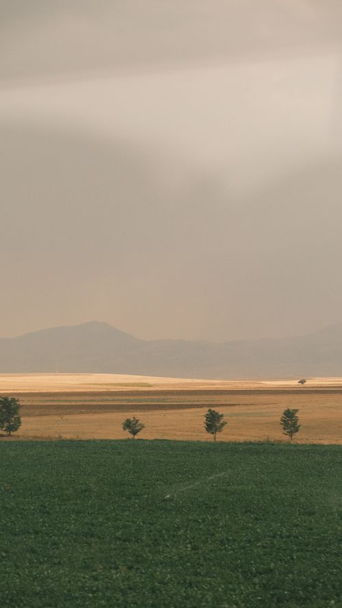 Free Tranquil view of rolling fields and distant hills under a soft sunset glow. Stock Photo