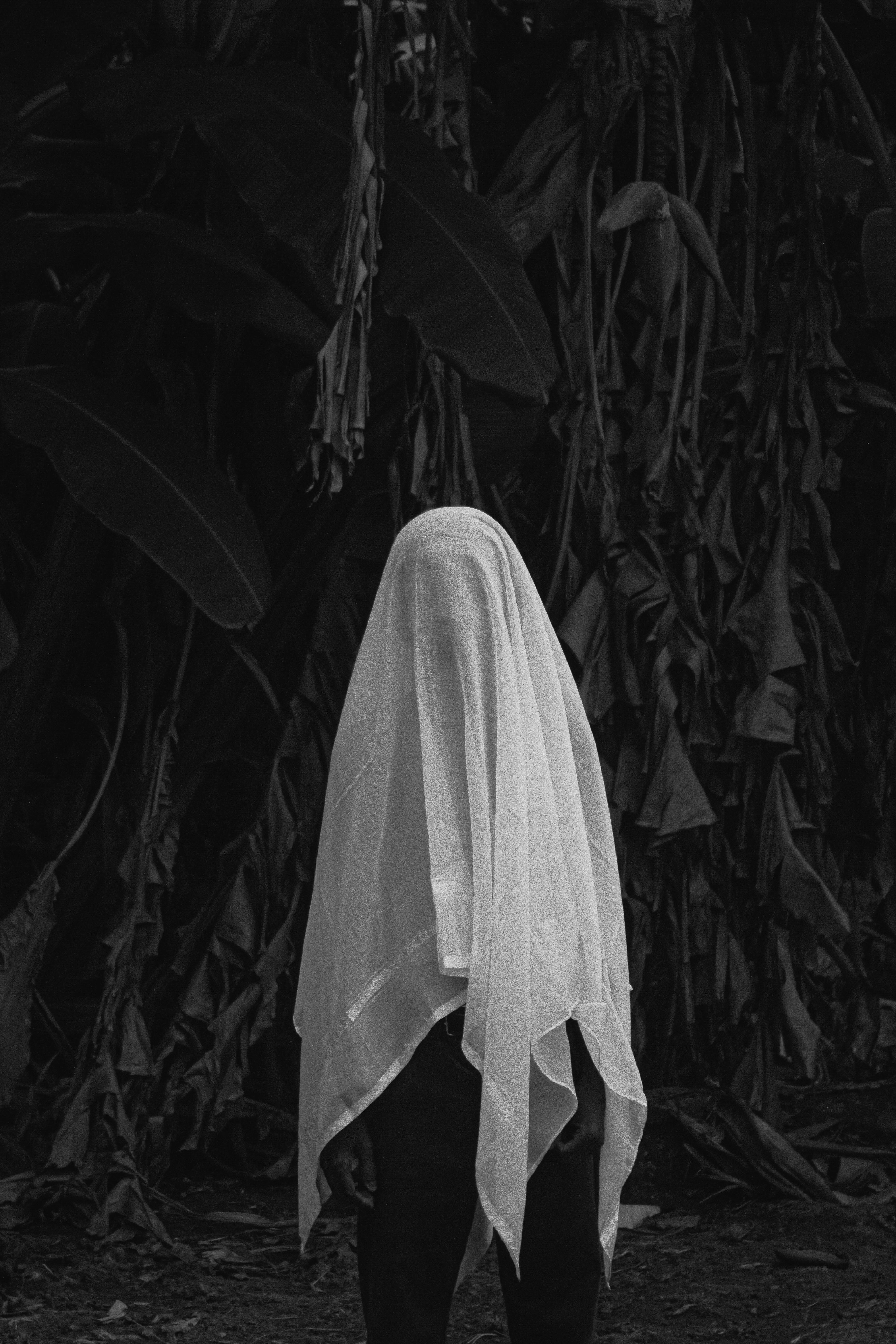 Mysterious figure draped in a white veil stands in a dark, jungle setting.