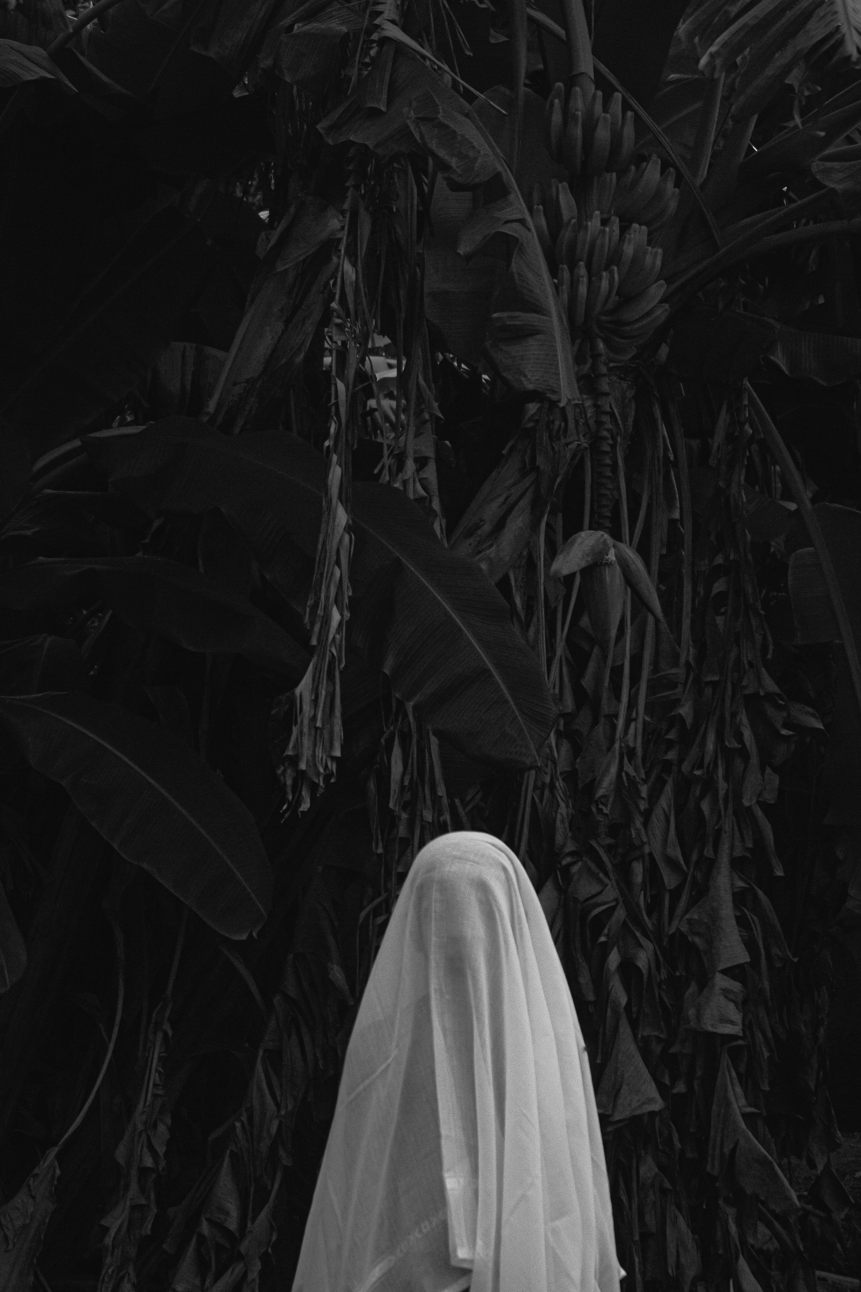 Eerie black and white photo of a shrouded figure amidst dense foliage, evoking mystery and intrigue.