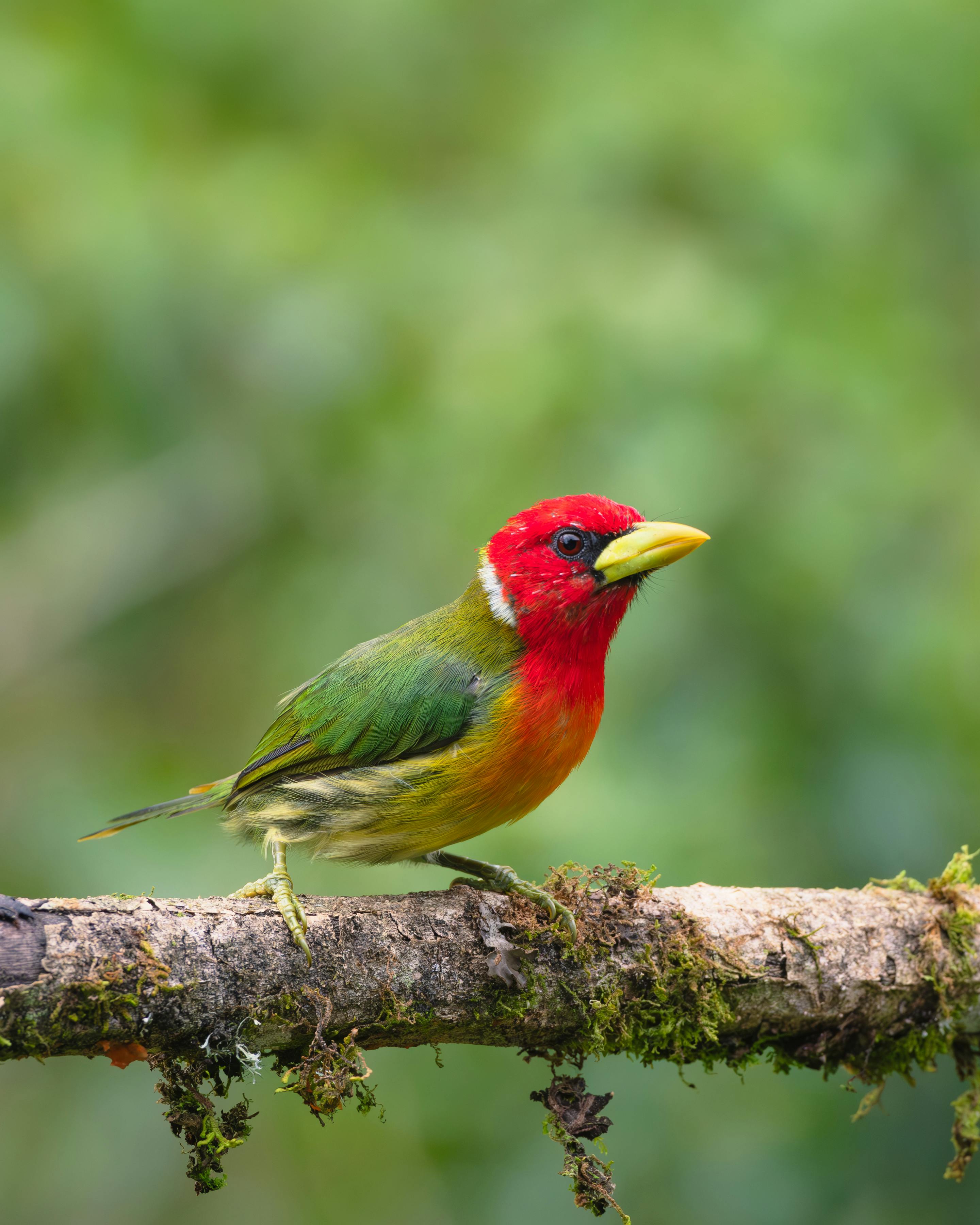 Bio Indicator Photos, Download The BEST Free Bio Indicator Stock Photos ...