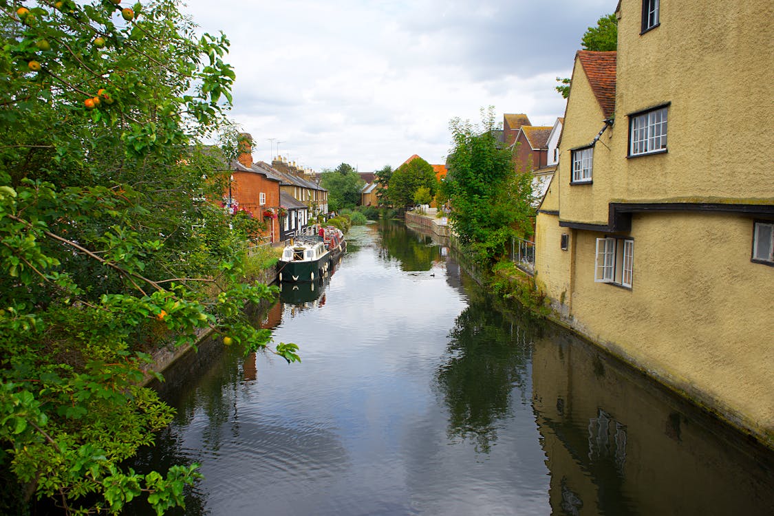 Photo of Canal Near Houses