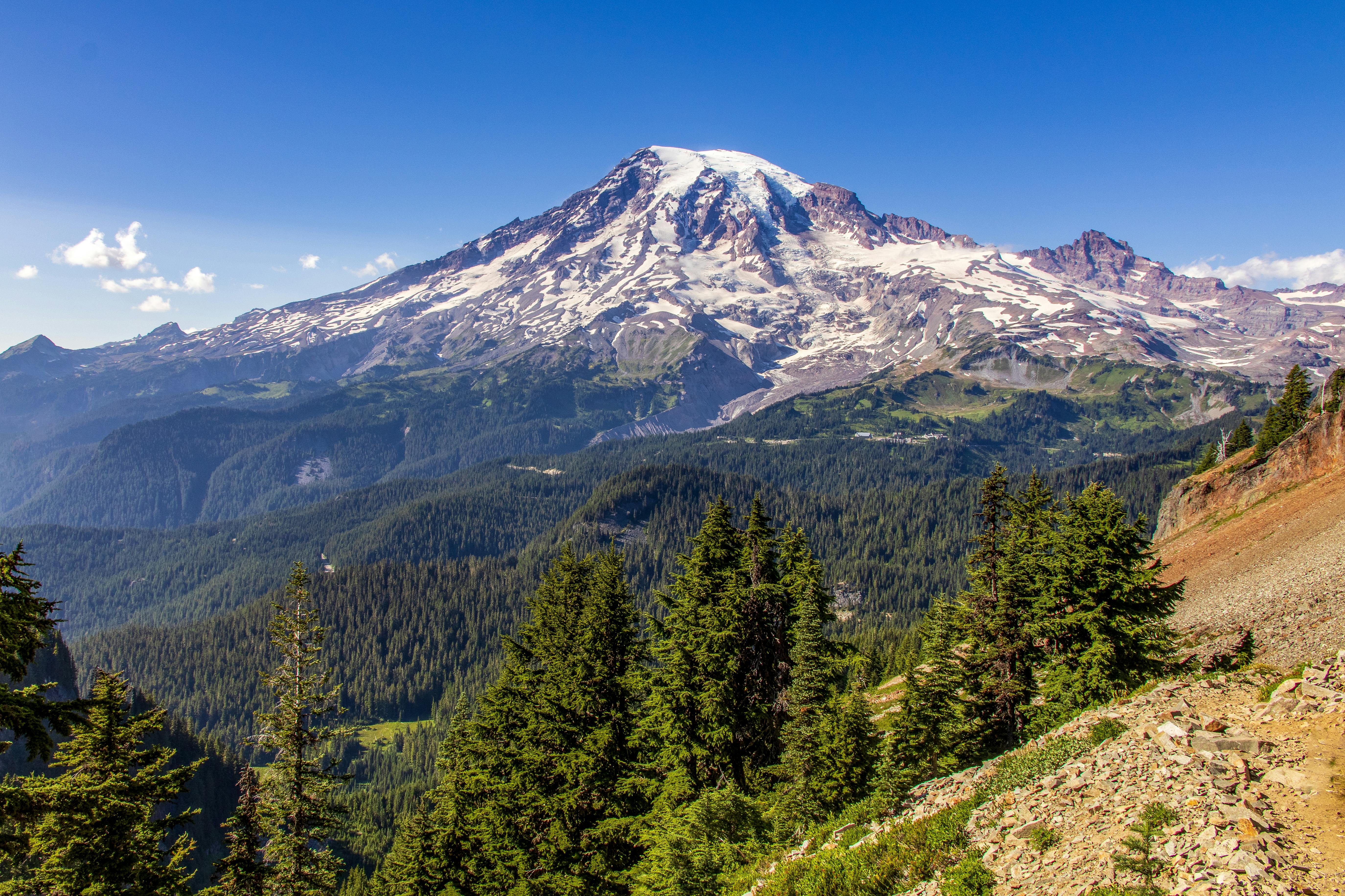 Snow In The Summer Sayadaw U Jotika