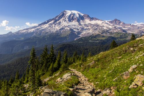 Free A stunning view of Mount Rainier surrounded by lush greenery under a clear sky, perfect for nature lovers. Stock Photo