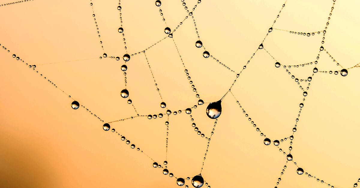 How to draw an easy spider web