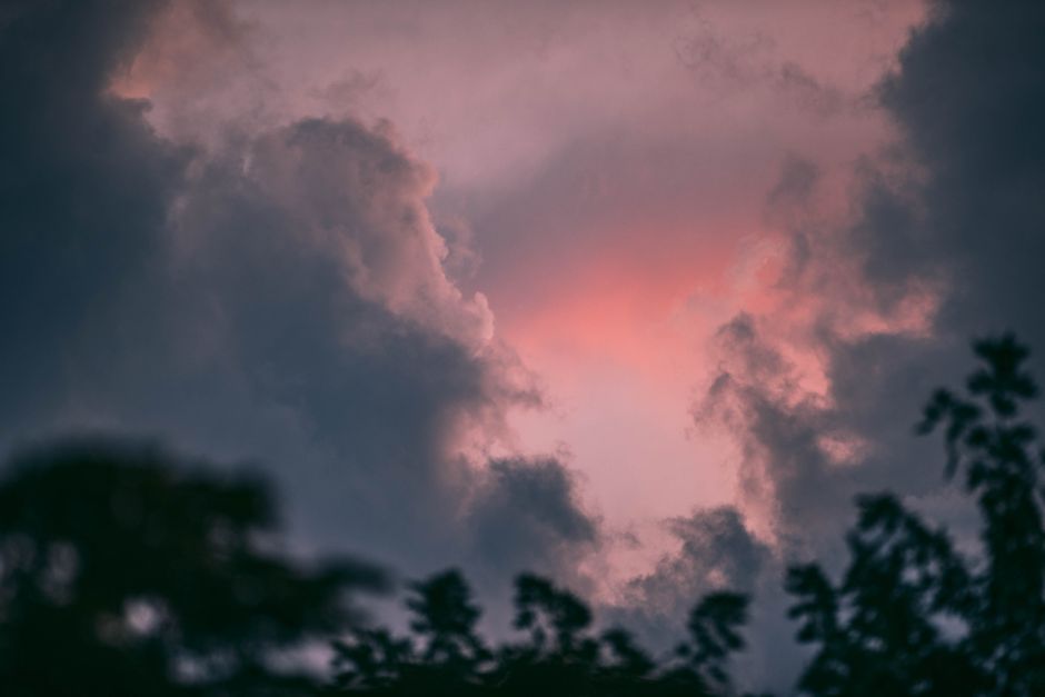 Captivating twilight sky with dark clouds and silhouetted foliage, perfect for backgrounds.