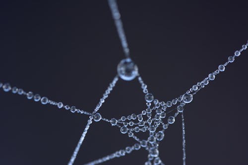 Free Silver-colored Bracelet Stock Photo