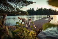 日落时分，一只狗在加拿大丹福德湖的码头上享受平静的时刻