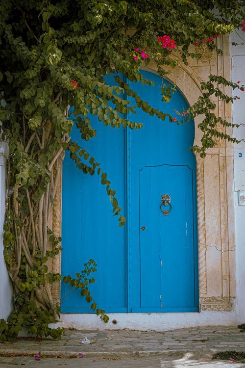 Free Vibrant blue traditional door surrounded by lush greenery, in Carthage, Tunisia. Stock Photo