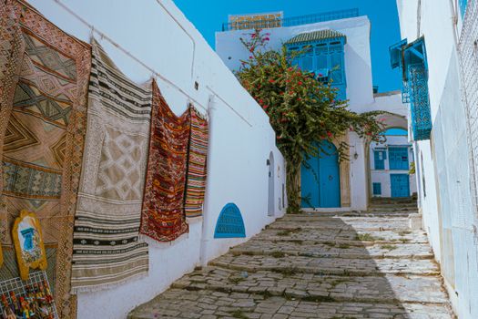 Sahara salt lake Chott El Jerid — Tunis