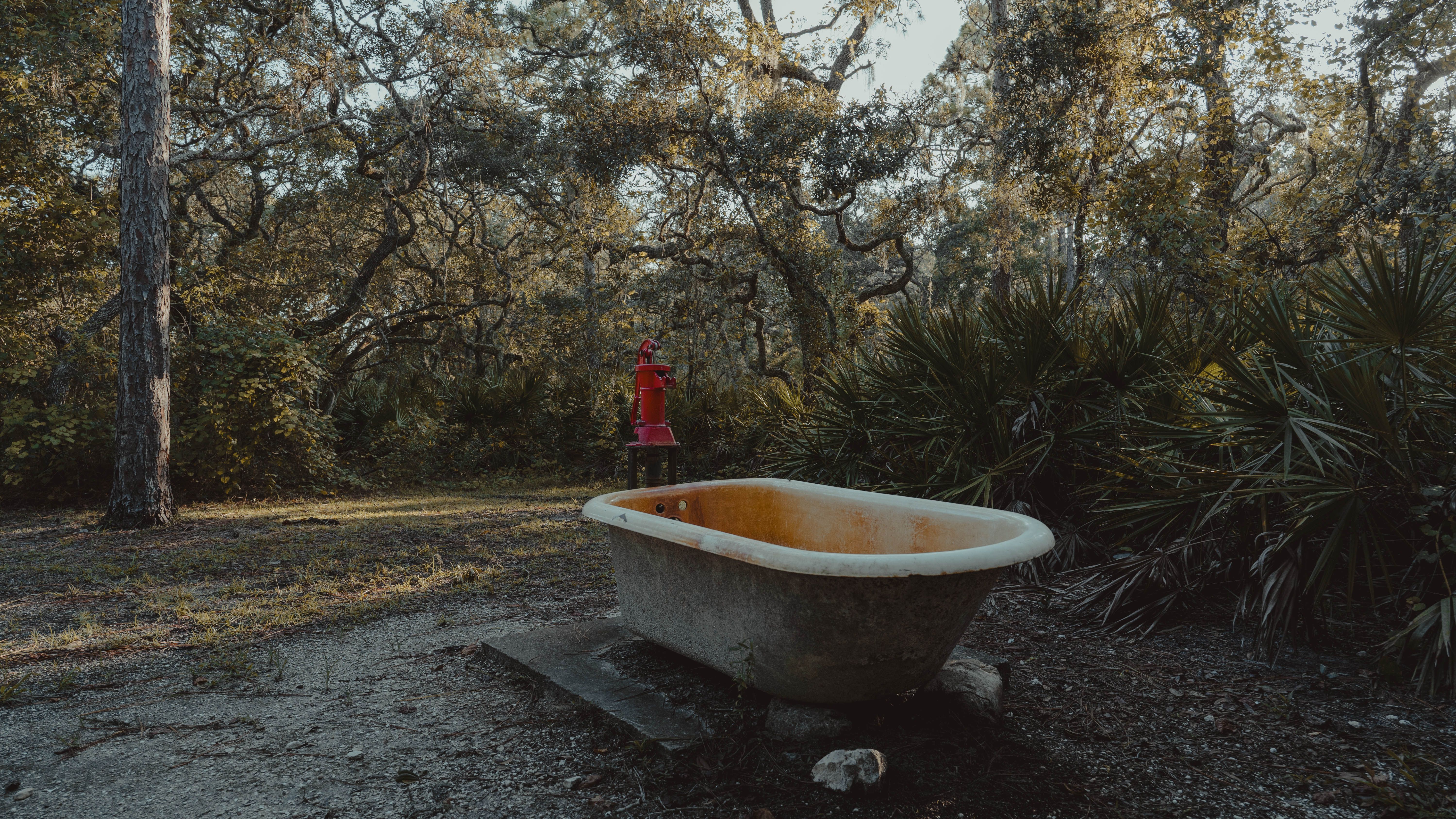 An abandoned bathtub in a forest reveals the beauty of decay in Land O' Lakes.