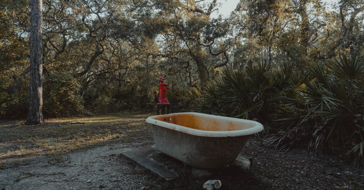 An abandoned bathtub in a forest reveals the beauty of decay in Land O' Lakes.