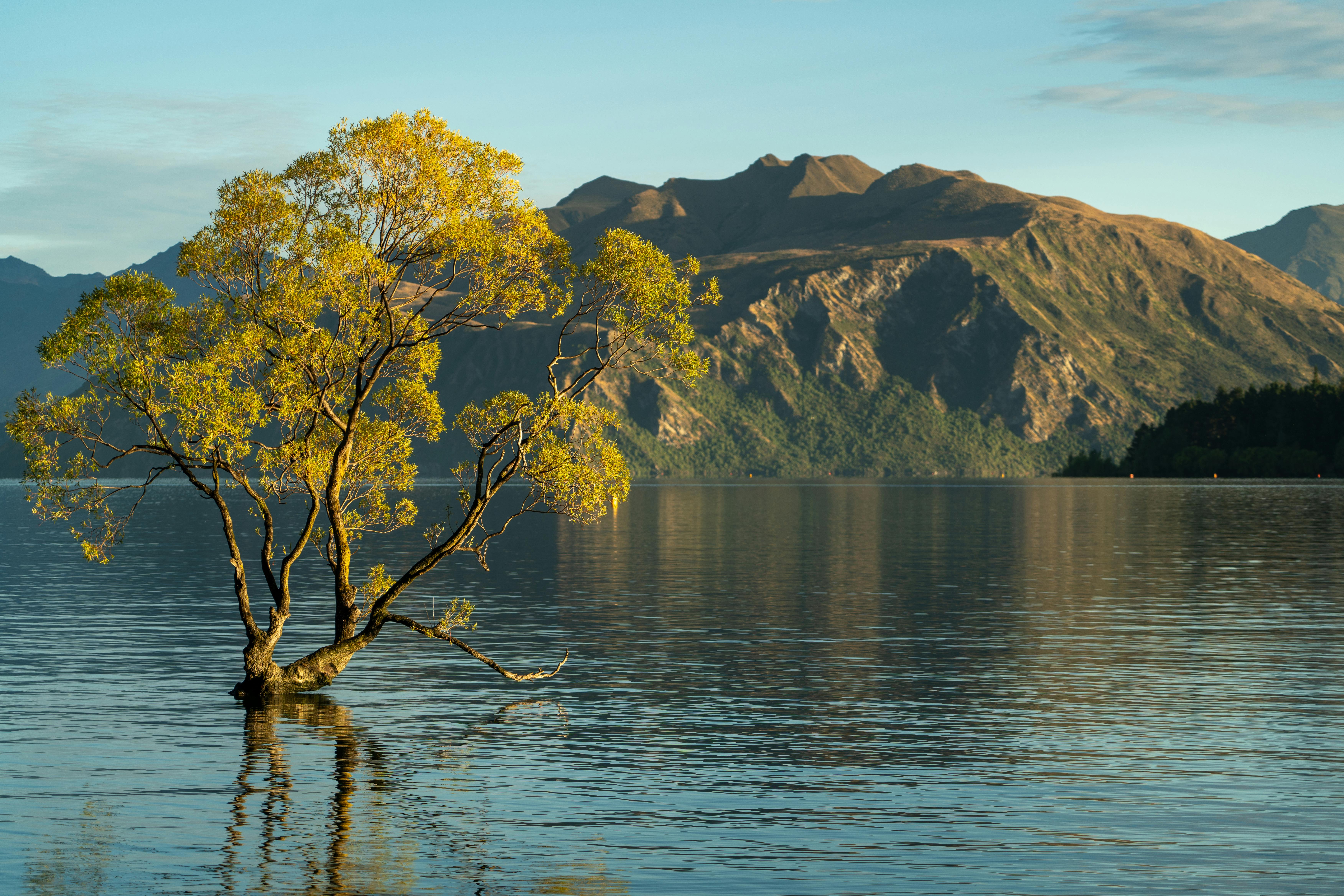 general travel new zealand — Photo by Donovan Kelly on Pexels