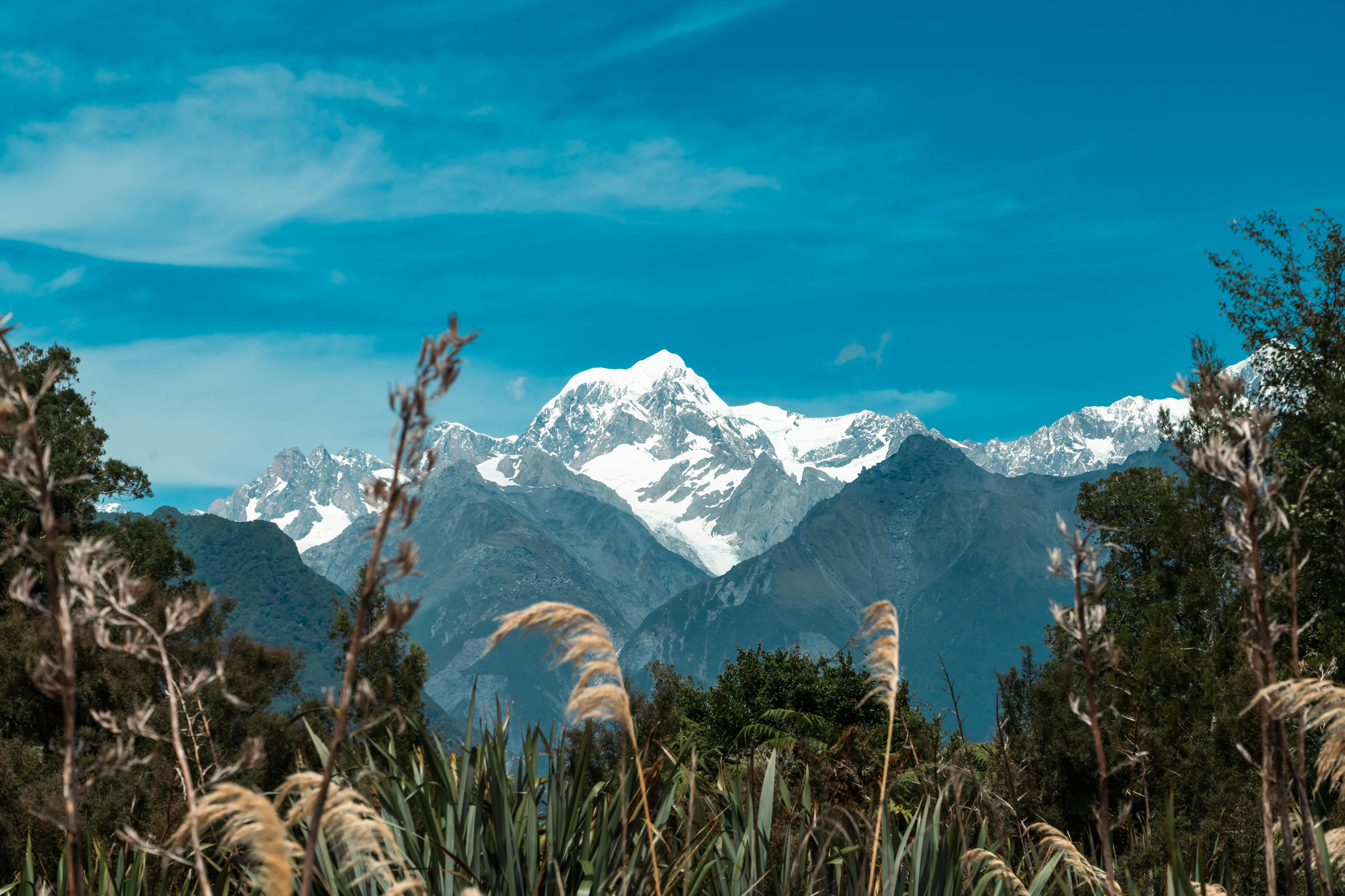 general travel new zealand tours — Photo by Donovan Kelly on Pexels