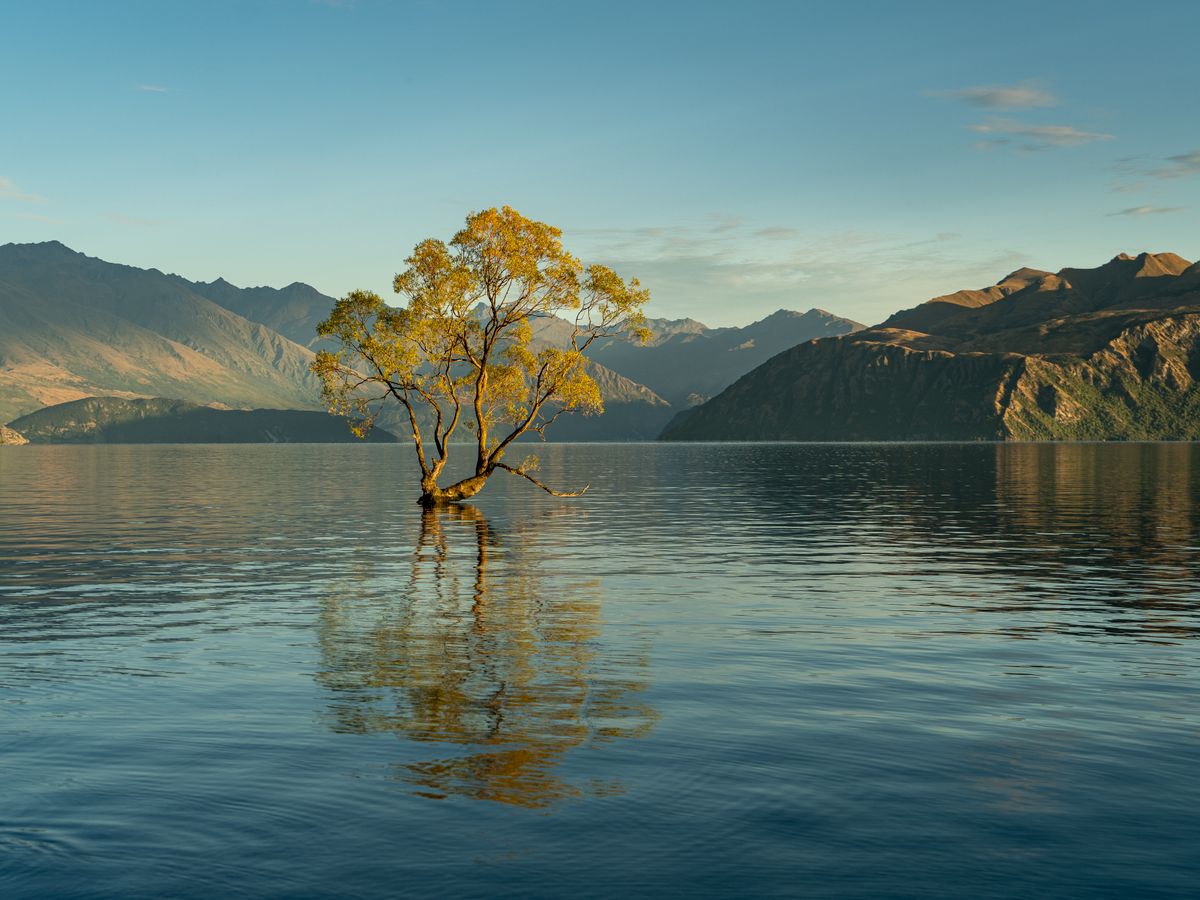 3 Day Personalized Yoga & Nature Retreat in New Zealand 1