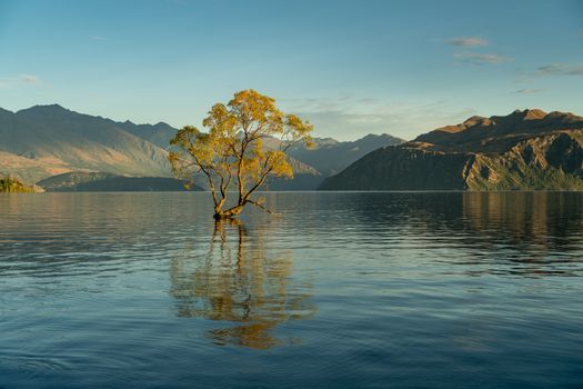 Wanaka and Roy's Peak hike — New Zealand — Queenstown