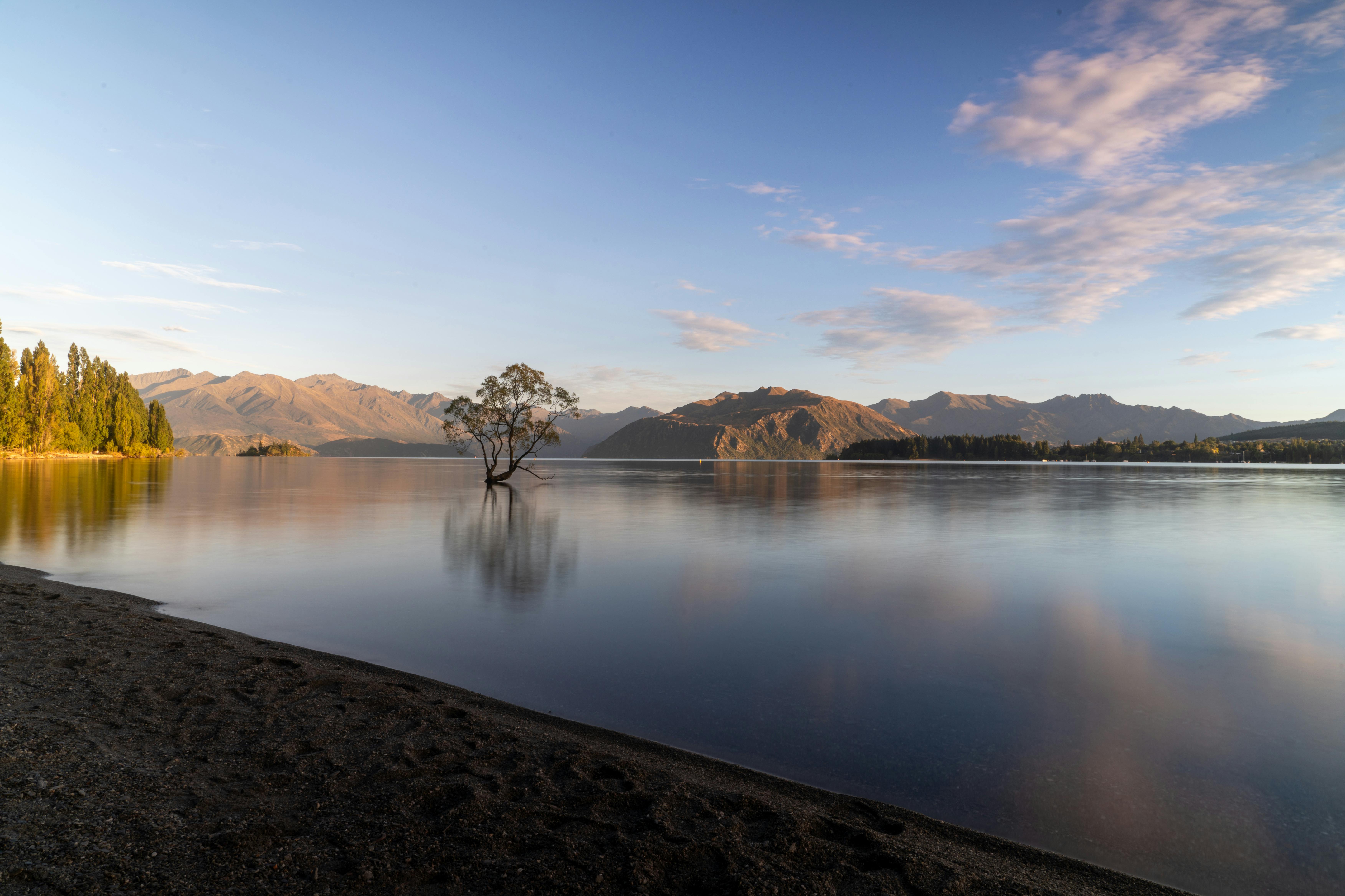 general travel new zealand — Photo by Donovan Kelly on Pexels