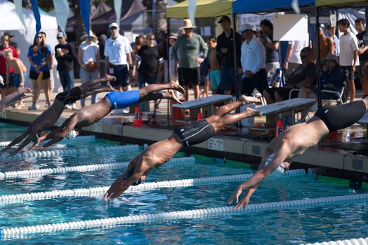 Swimmers dive into the pool during a competitive swimming race, showcasing athleticism and speed.