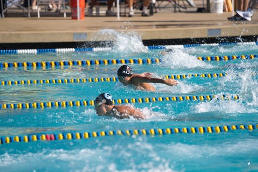 Swimmers competing in an outdoor pool during a sunny day, showcasing athletic endurance and skill.