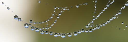 Water Droplets Photo