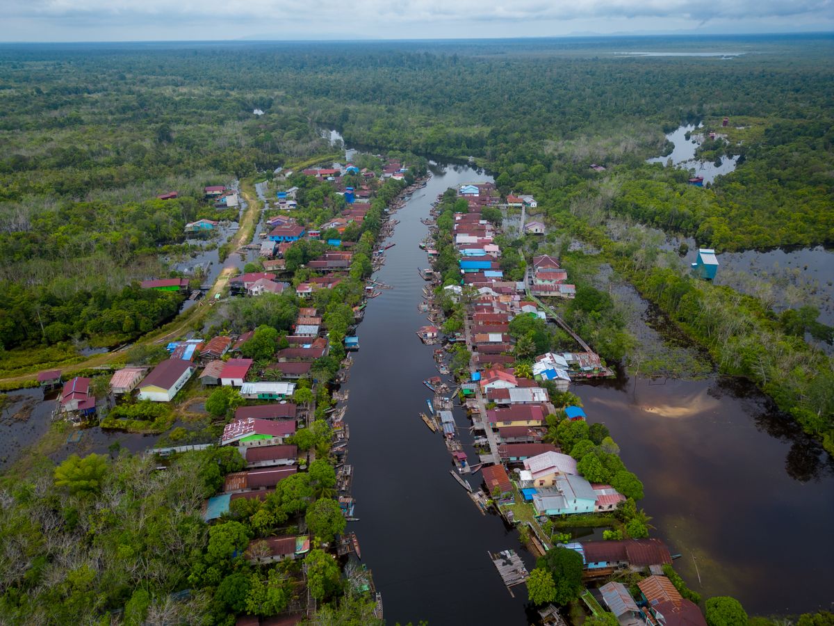 A jungle river winding through Borneo in Kalimantan