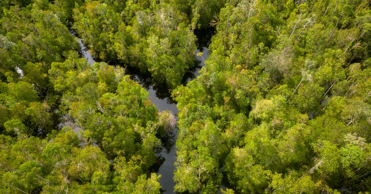 Indonesia's Prabowo Accepts Malaysia's Offer of Help to Fight Kalimantan Forest Fires