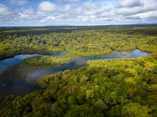 Area hutan dan jalur air alami