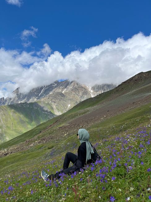 A peaceful scene of a person relaxing in a flower-filled meadow with majestic mountains in the background.