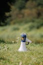 A white and blue megaphone sitting in a field