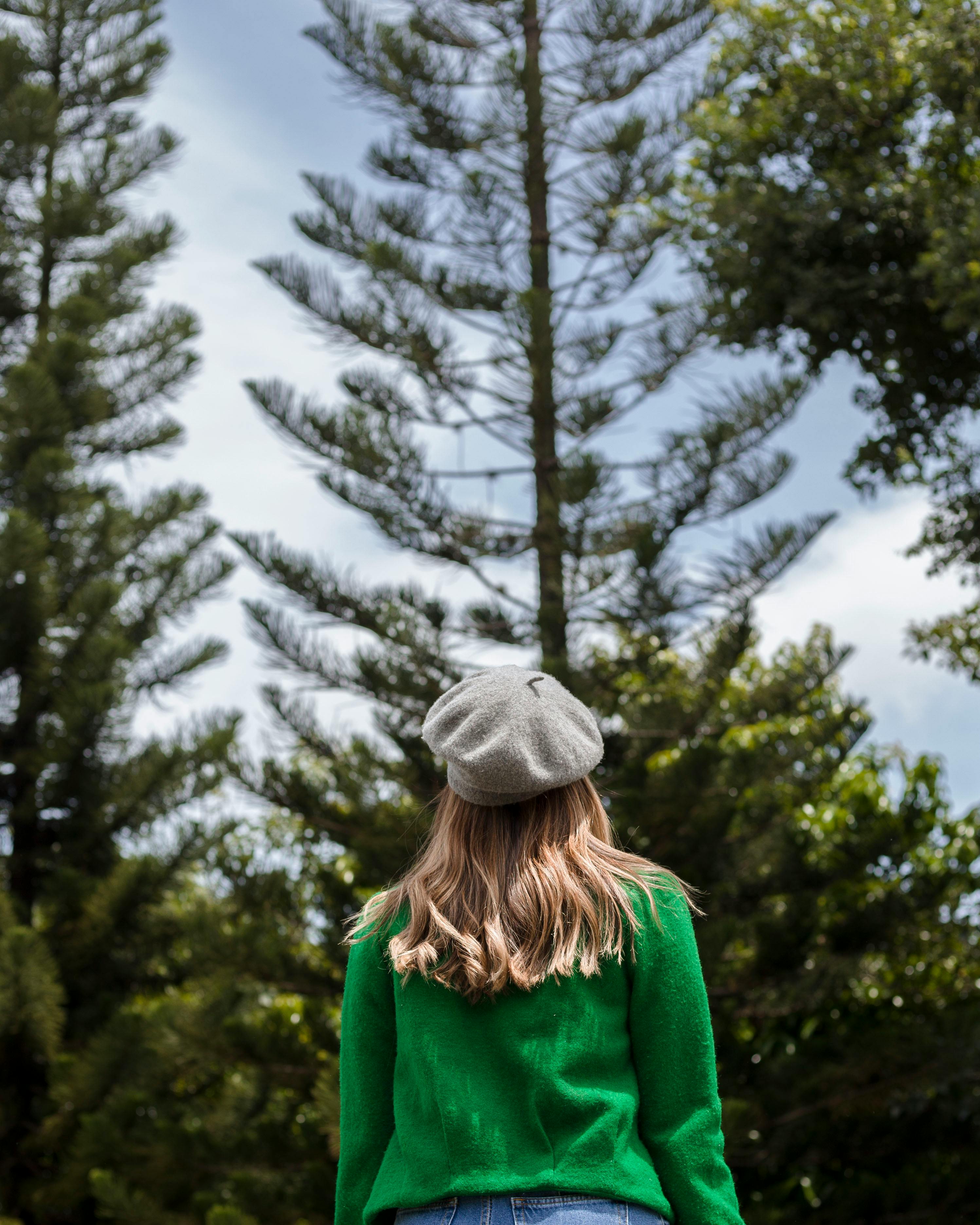 一名戴贝雷帽的女子望着森林中高大树木的背影
