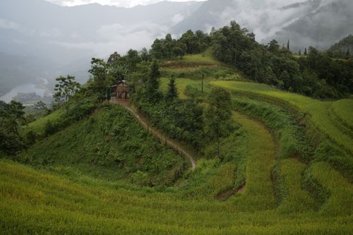 Free Breathtaking view of rice terraces with misty mountains in Lào Cai, Vietnam. Stock Photo