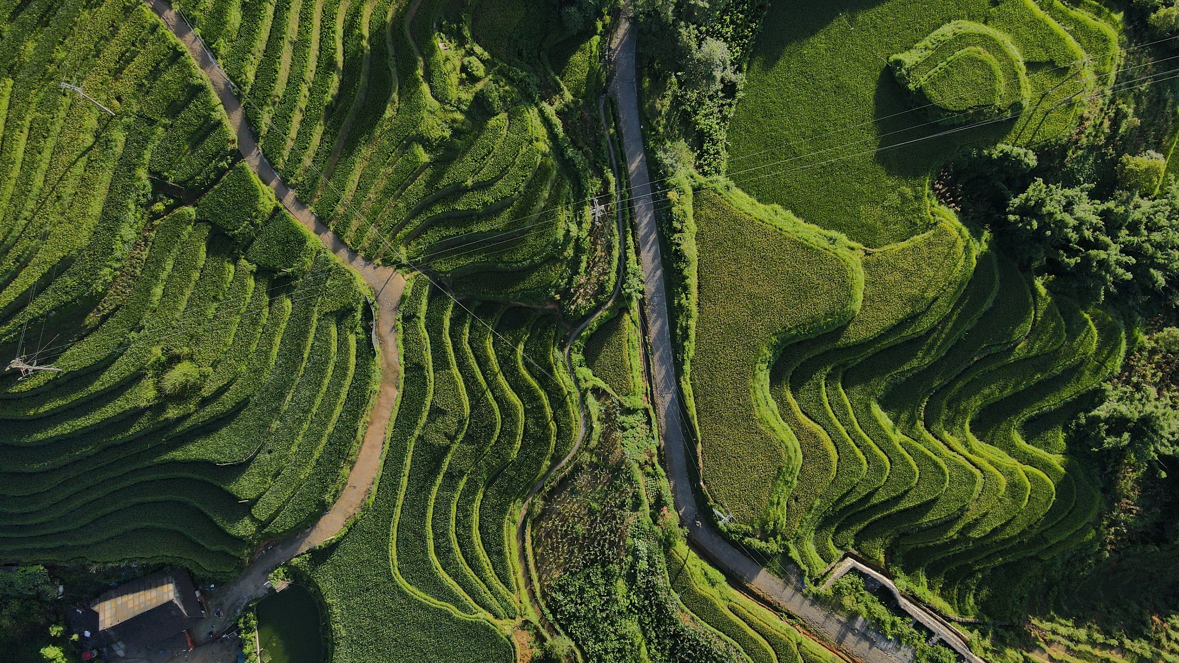 As 2026 shapes new travel trends, Hush Tourism is currently gaining popularity — Photo by Lucas Tran on Pexels