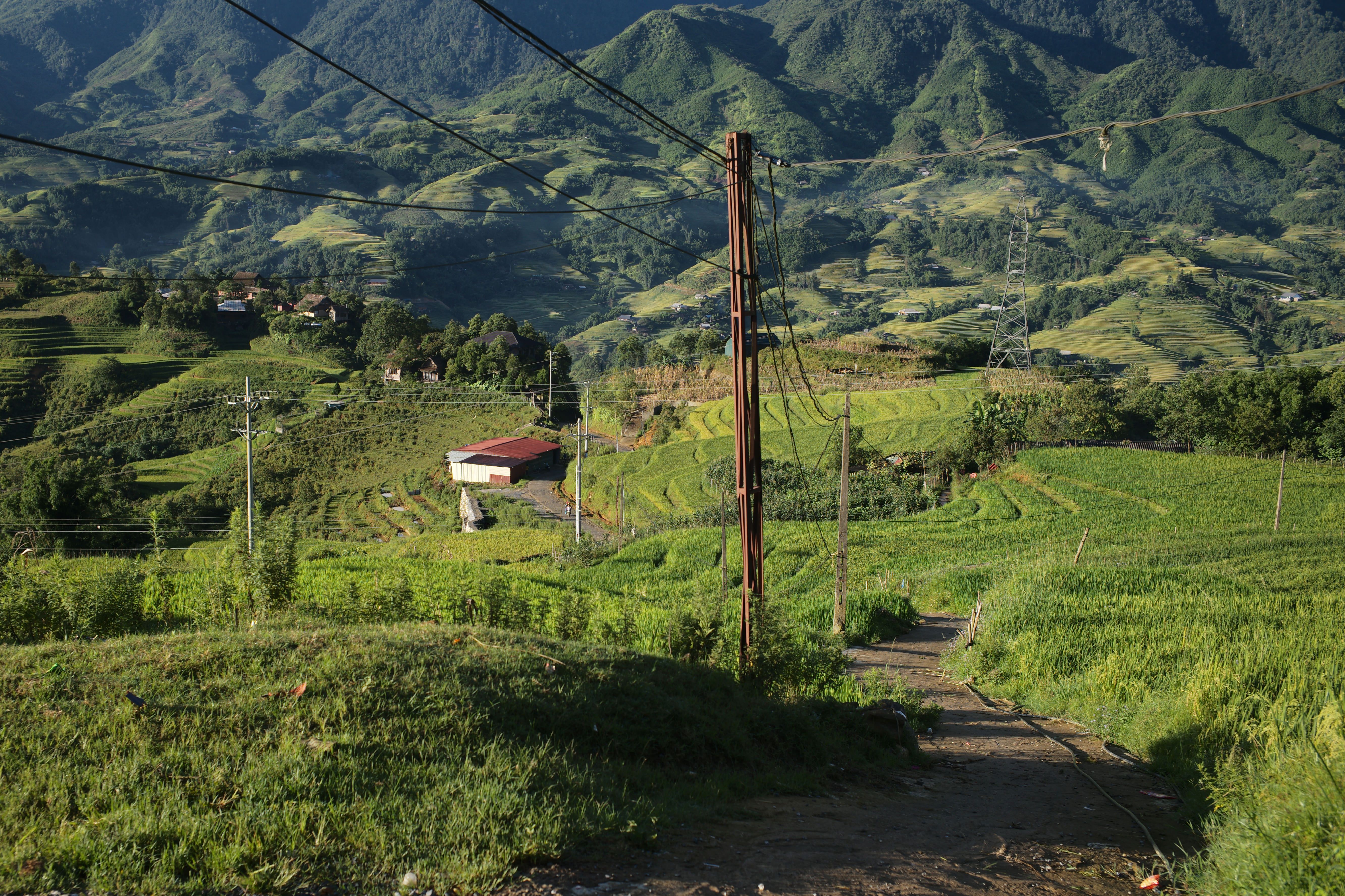 Beautiful terraced rice fields in Lào Cai, Vietnam surrounded by lush green hills.