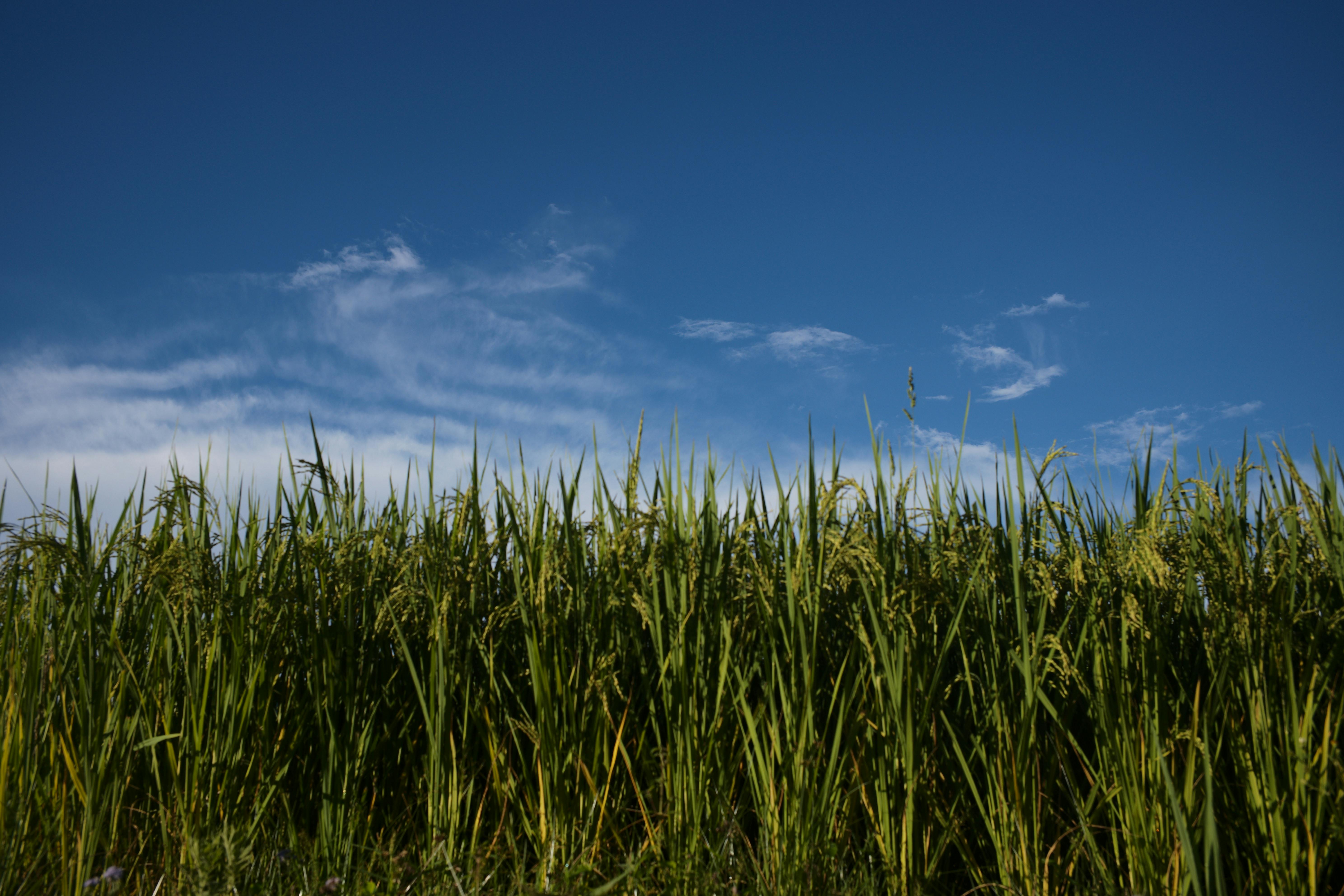 Miễn phí Ảnh lưu trữ miễn phí về bầu trời, bình yên, bối cảnh Ảnh lưu trữ