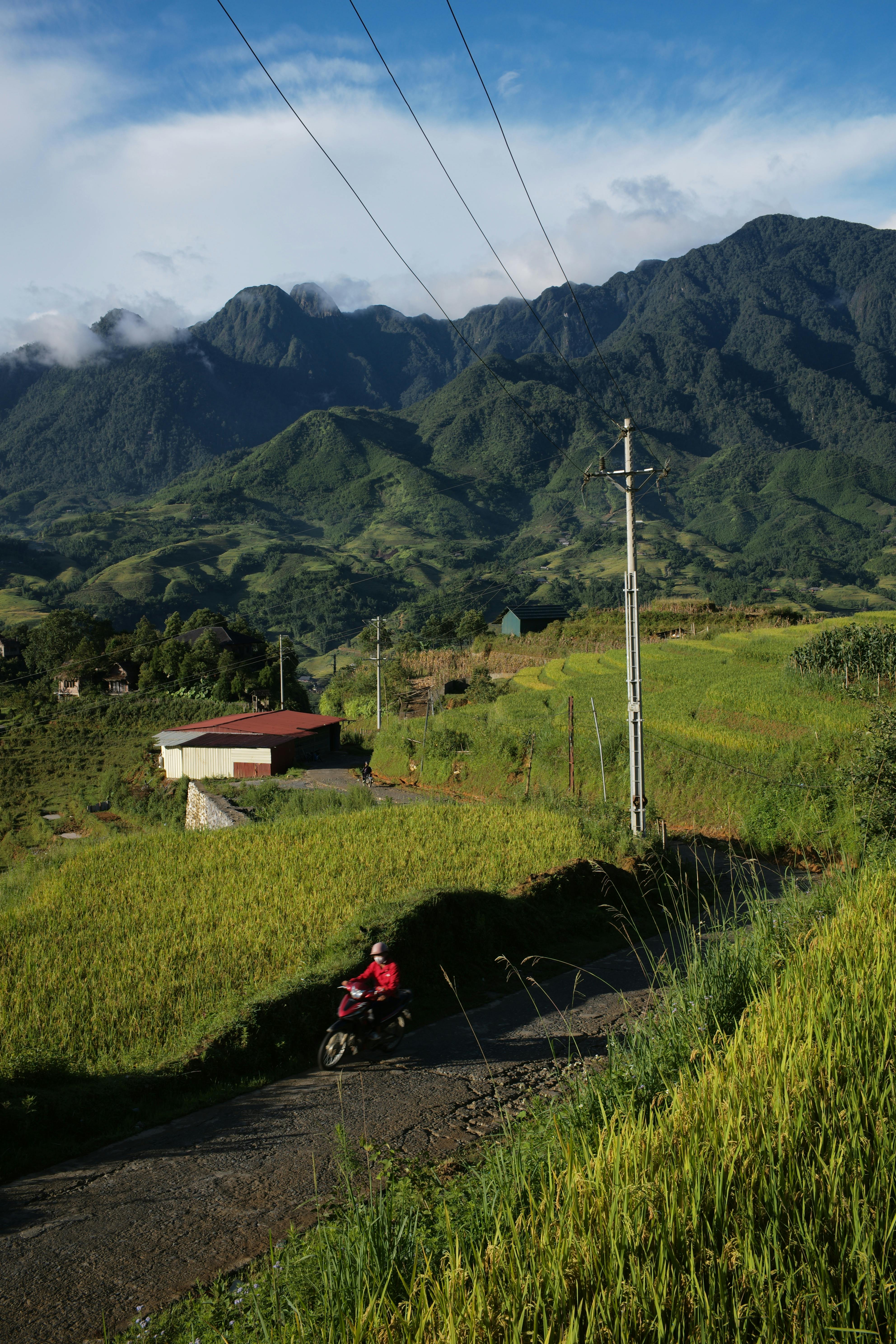 Captivating landscape of Sapa, Vietnam with lush green fields and distant mountains, ideal for travel enthusiasts.