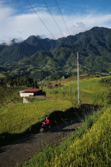 Captivating landscape of Sapa, Vietnam with lush green fields and distant mountains, ideal for travel enthusiasts.