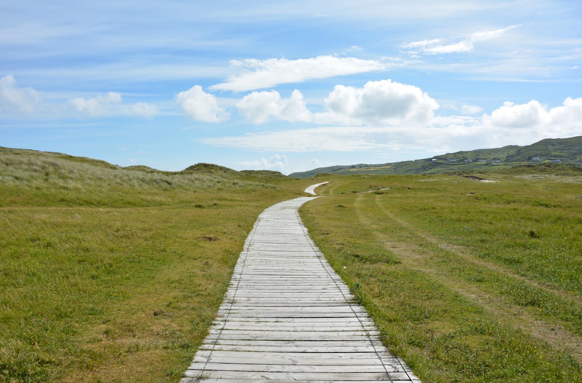 Gray Pathway in Between Grasses