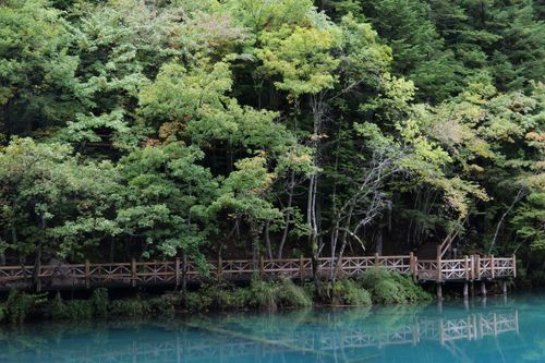 Free Tranquil view of a wooden bridge by a clear blue lake surrounded by lush forest foliage. Stock Photo