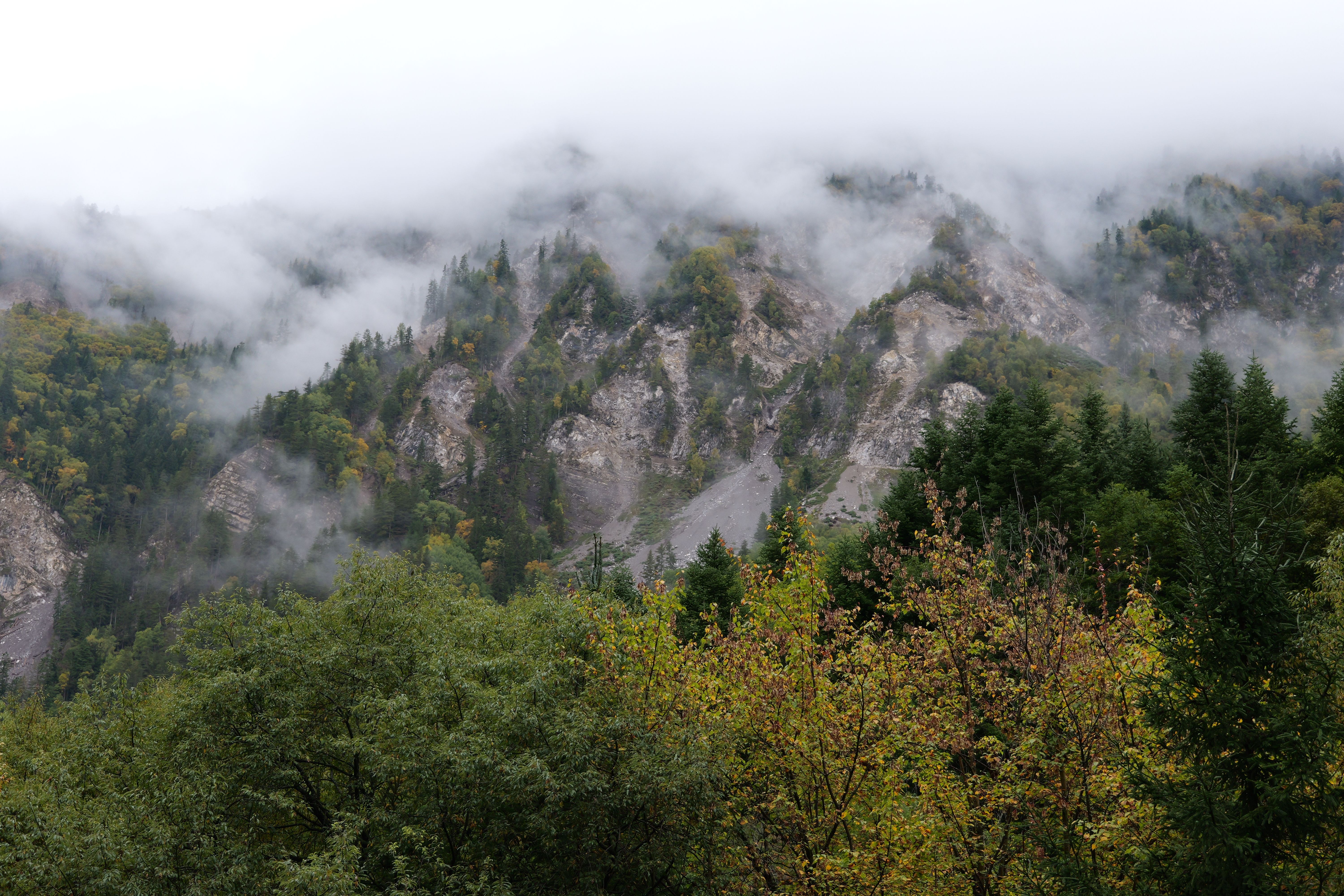 A mountain range with trees and fog · Free Stock Photo