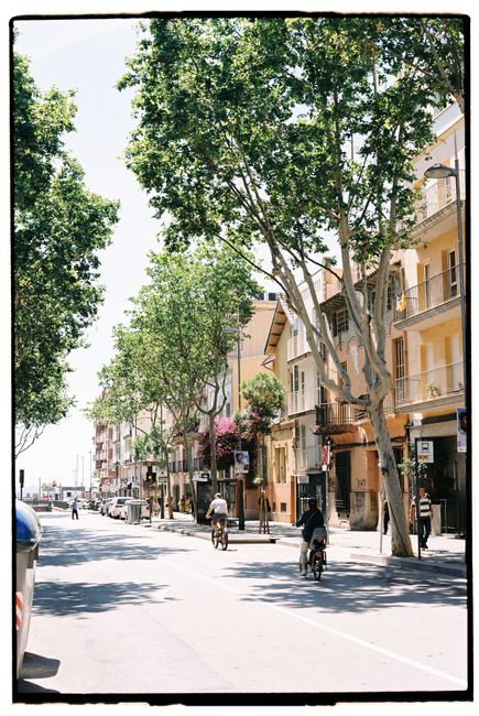 A lively urban street lined with trees and buildings, featuring cyclists and pedestrians.