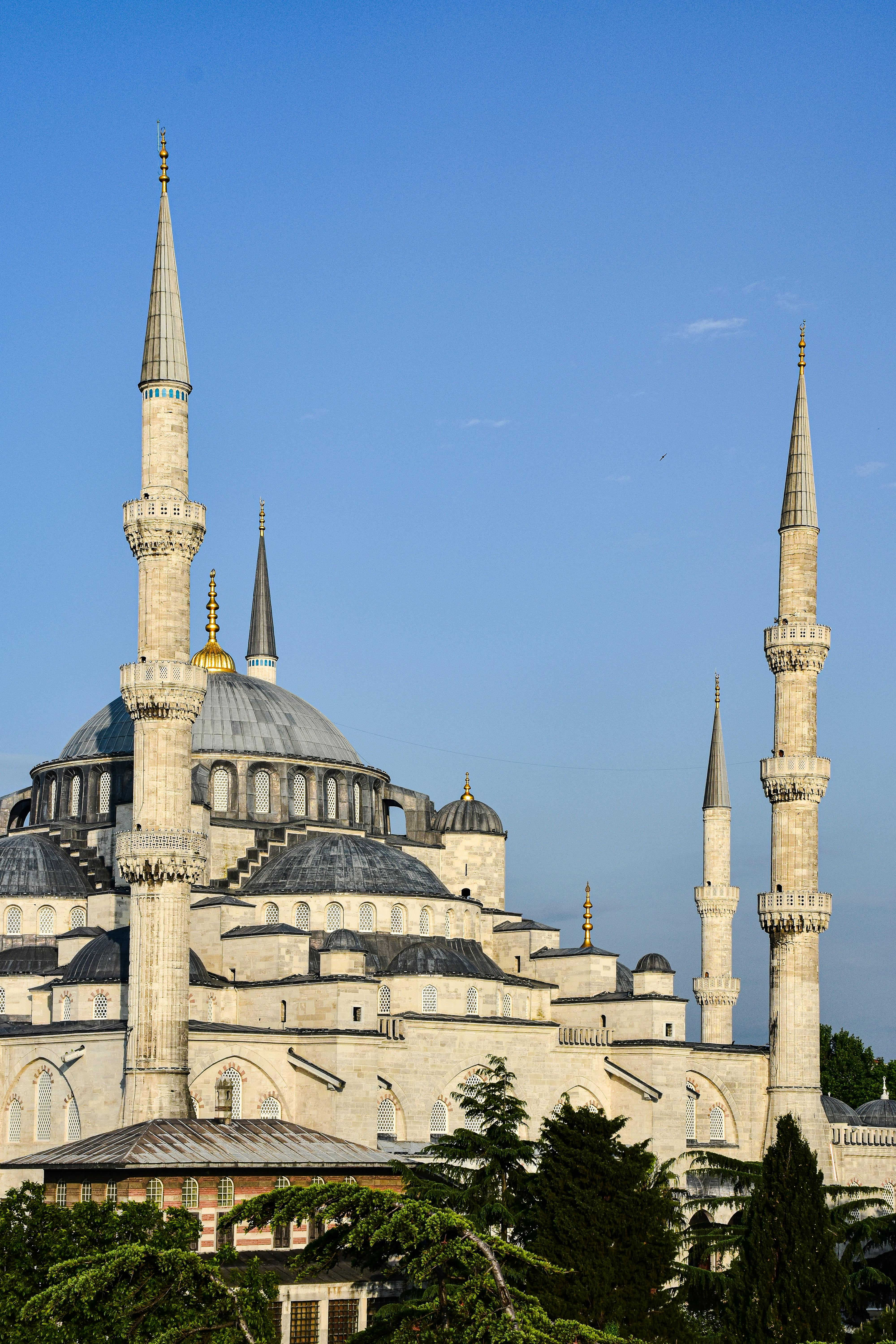 the blue mosque in istanbul turkey