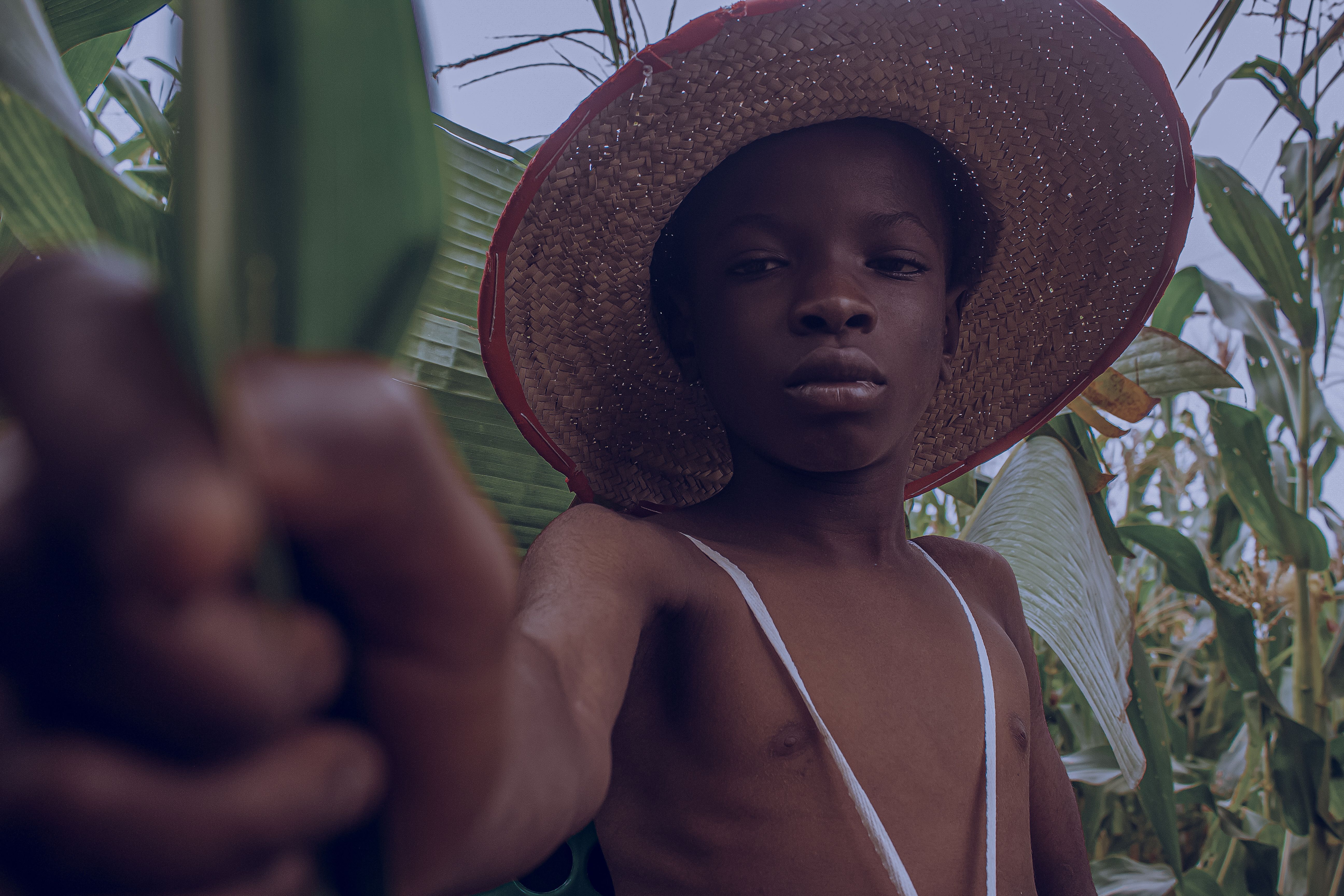 A young boy with a straw hat in a cornfield, embodying rural life and farming spirit.