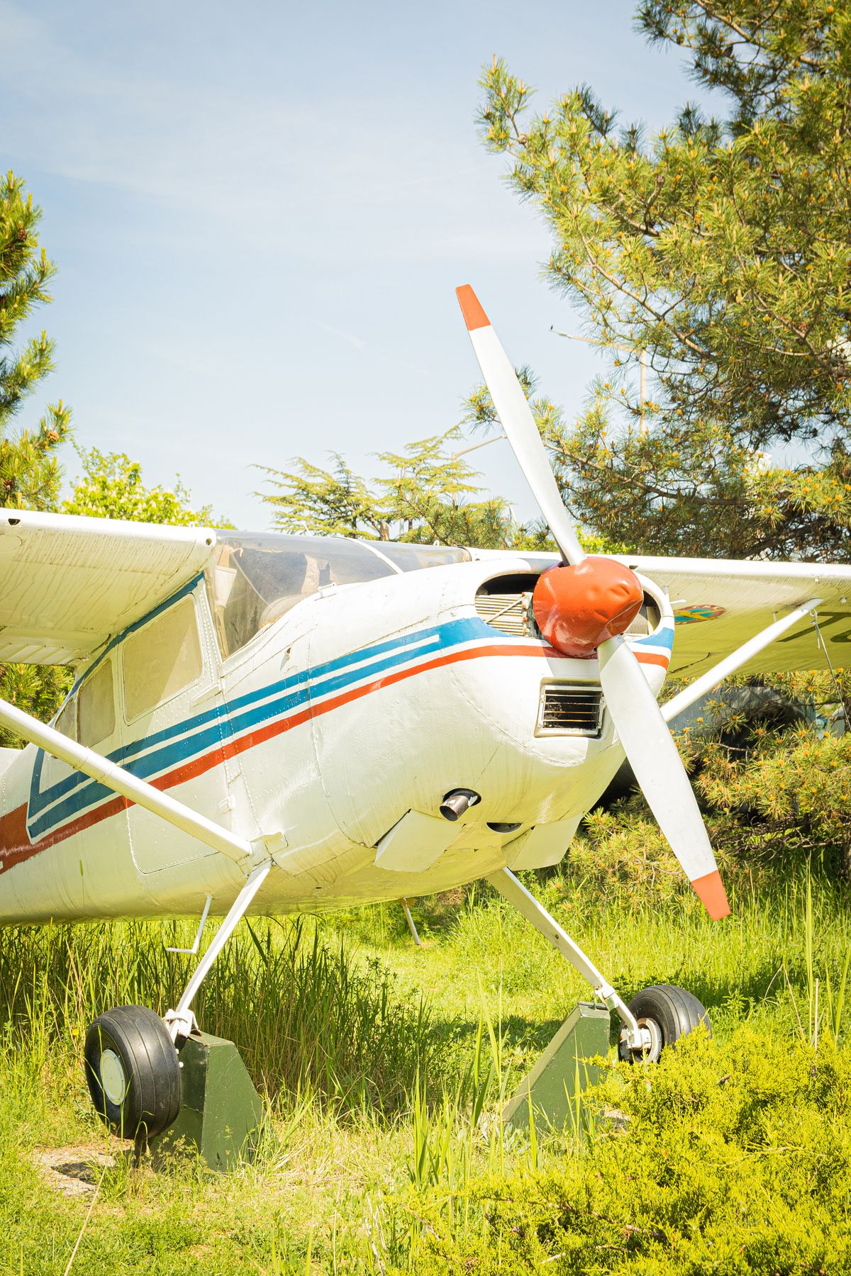 Small airplane parked in a grassy field — private pilot license possibilities