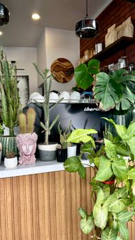 Cozy cafe interior showcasing a variety of houseplants and modern decor.