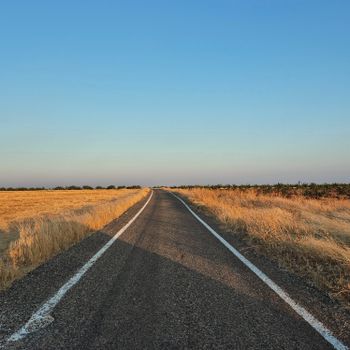 A long, empty country road stretching into the horizon amid golden fields at sunset.