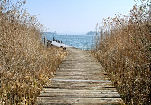Brown Wooden Dock Above Body of Water