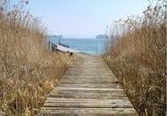 质朴的木制码头周围，芦苇环绕着平静的蓝色湖泊，描绘出一片安宁的自然景象