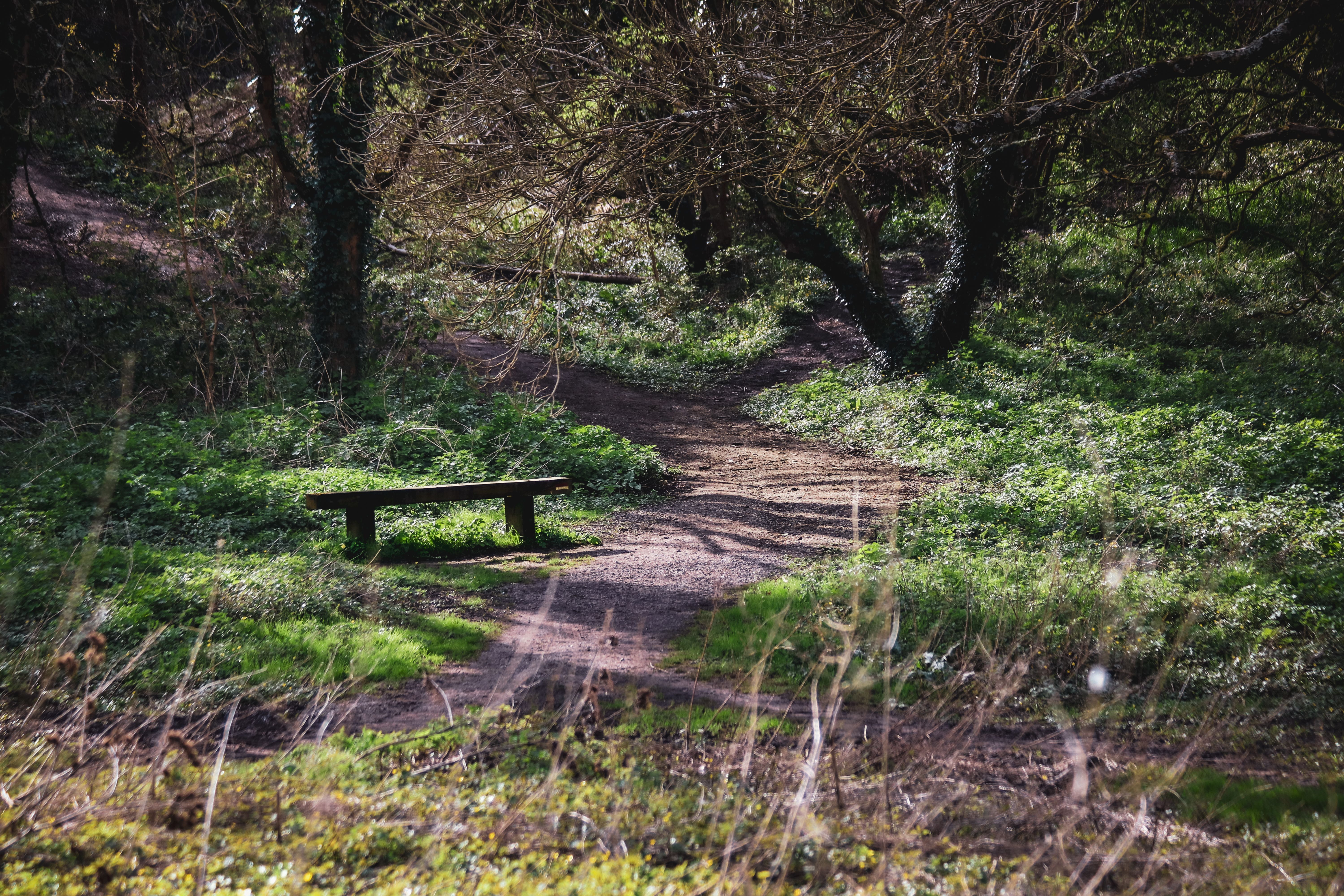 Wycoller Country Park Accessibility Guide