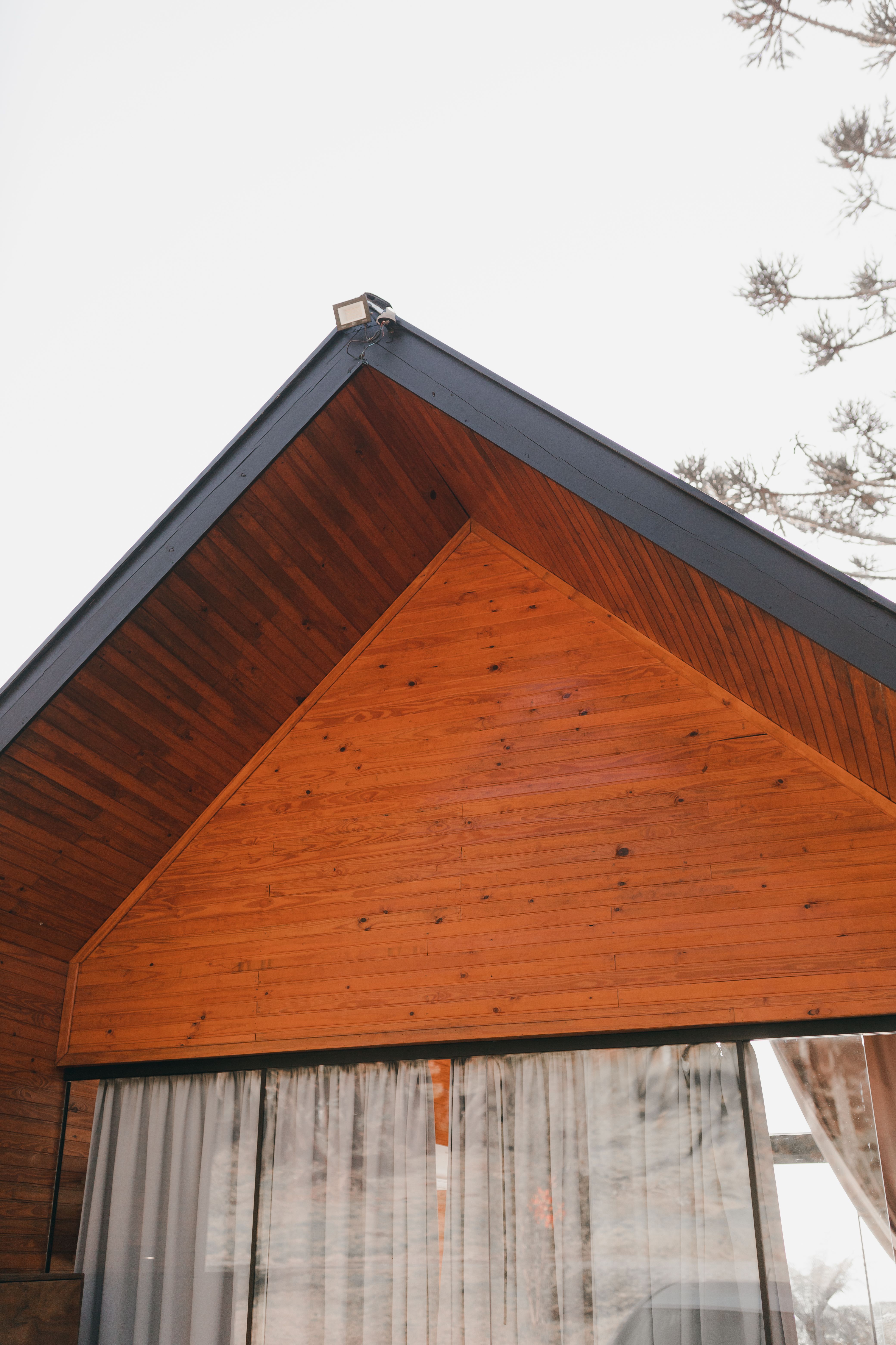 Contemporary timber clad house extension with large glazing